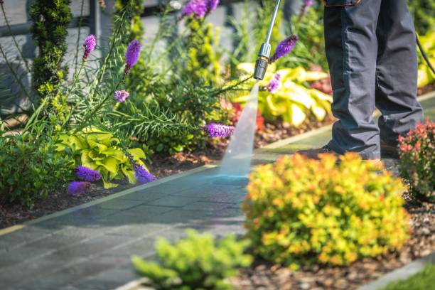 Best Gutter Cleaning  in Hammonton, NJ